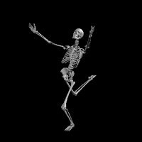 valsing-skeleton